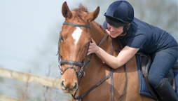 Para Showjumping